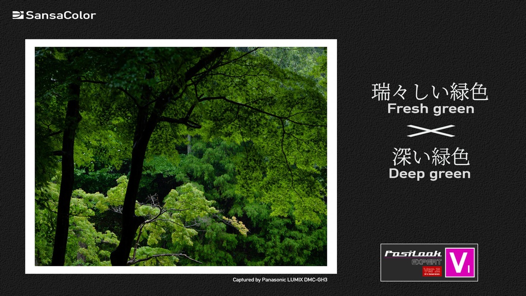 PosiLook Expert V1 Ver.2.00 (for PENTAX)