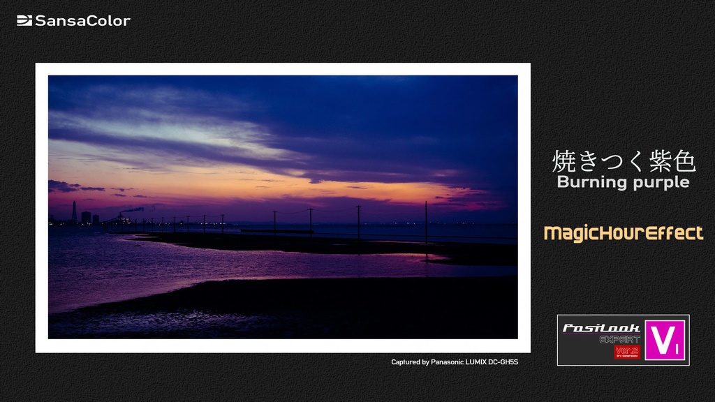 PosiLook Expert V1 Ver.2.00 (for PENTAX)