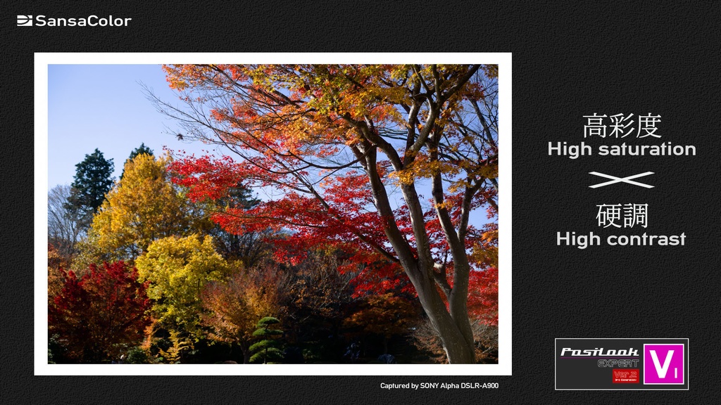 PosiLook Expert V1 Ver.2.00 (for PENTAX)