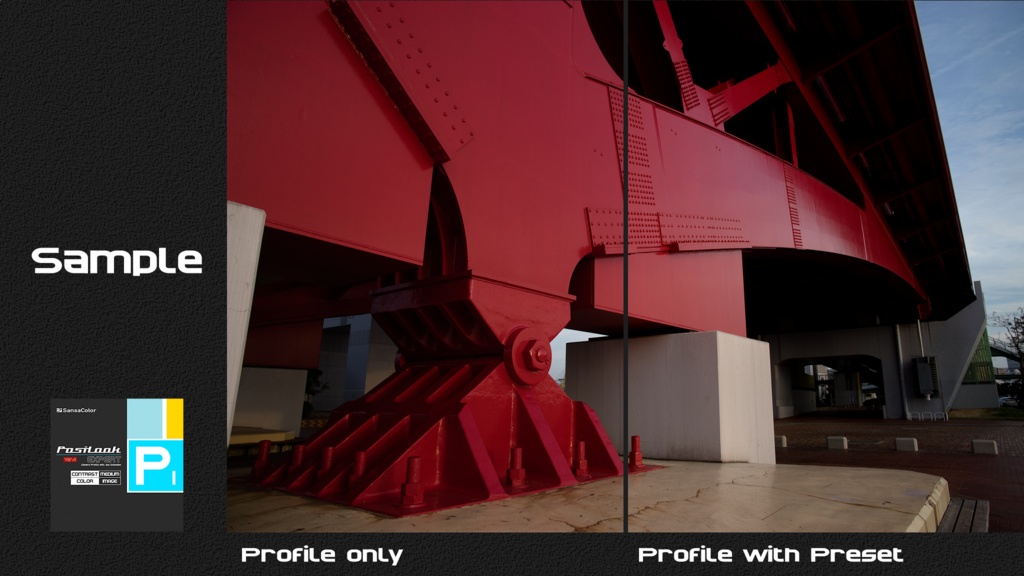 PosiLook Expert P1 Ver4.00a (for Canon)