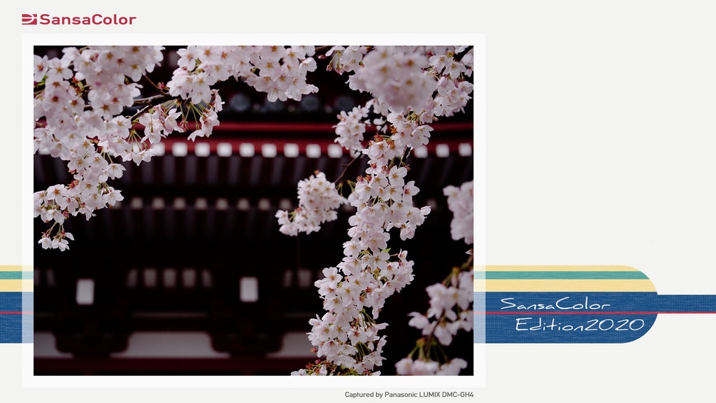 SansaColor Edition2020 Ver.1.00