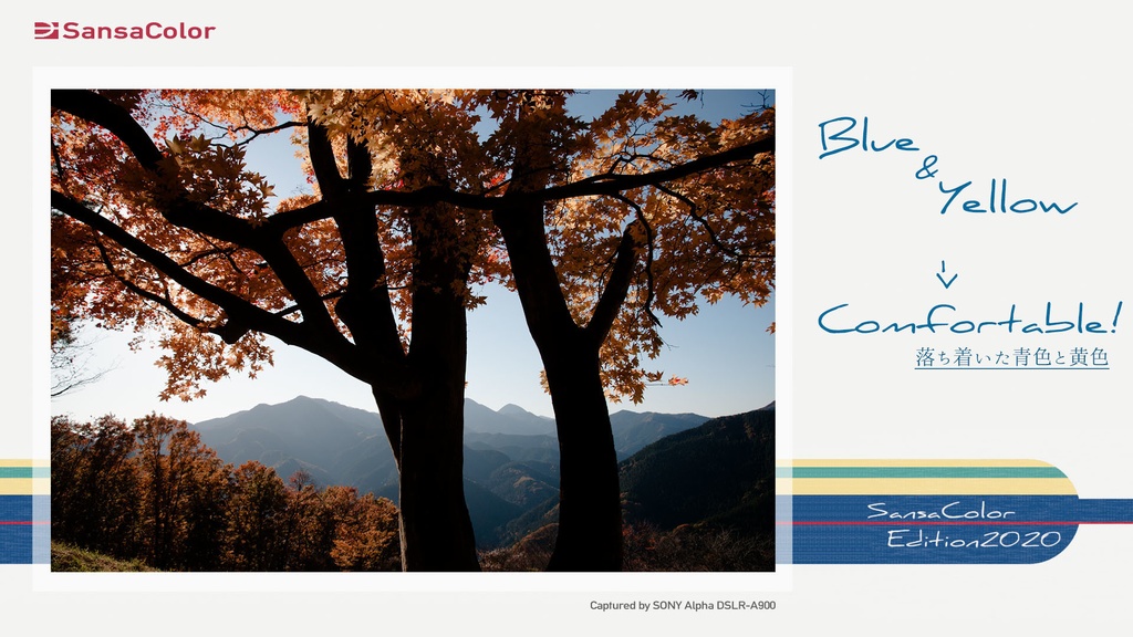 SansaColor Edition2020 Ver.1.00