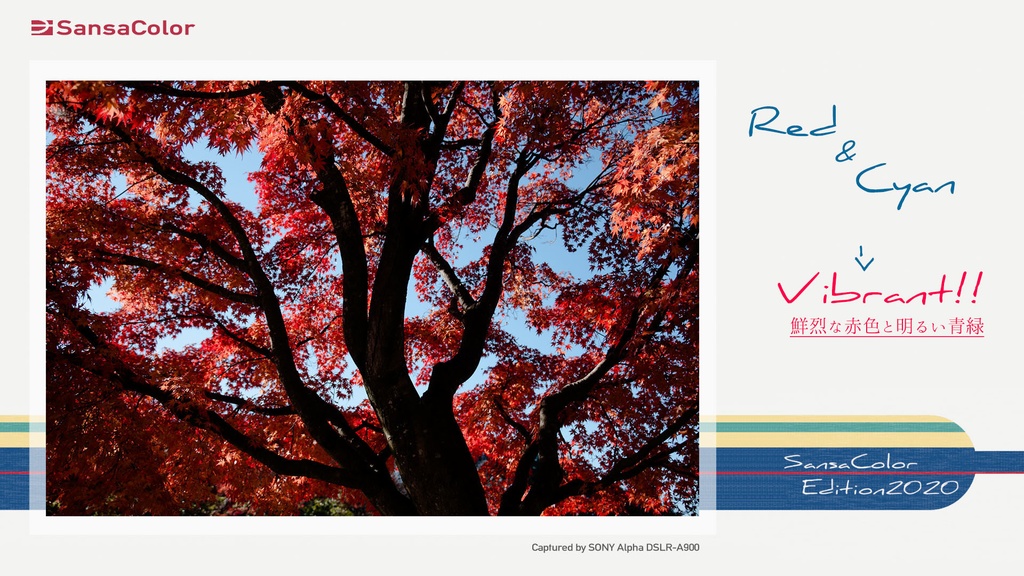 SansaColor Edition2020 Ver.1.00