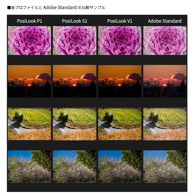カメラプロファイル PosiLook Pack1 for PENTAX