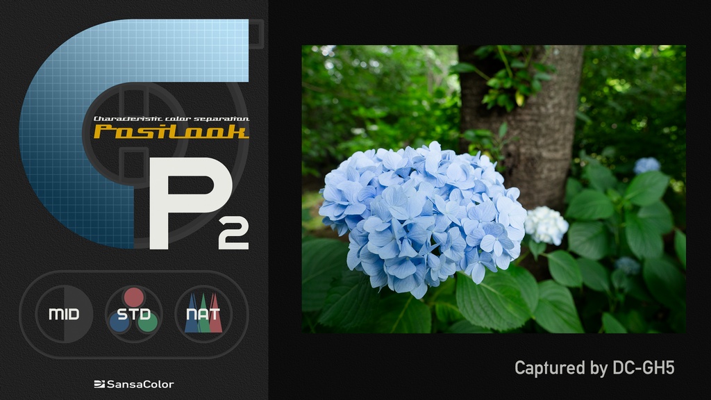 PosiLook P2 v1.0