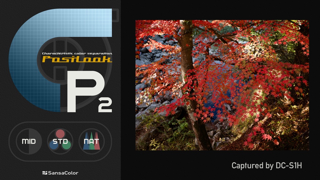 PosiLook P2 v1.0