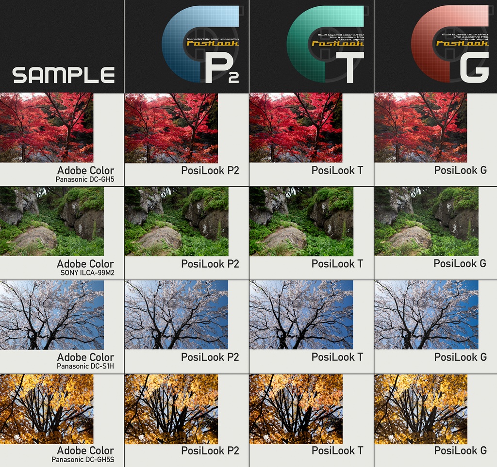 PosiLook G v1.0