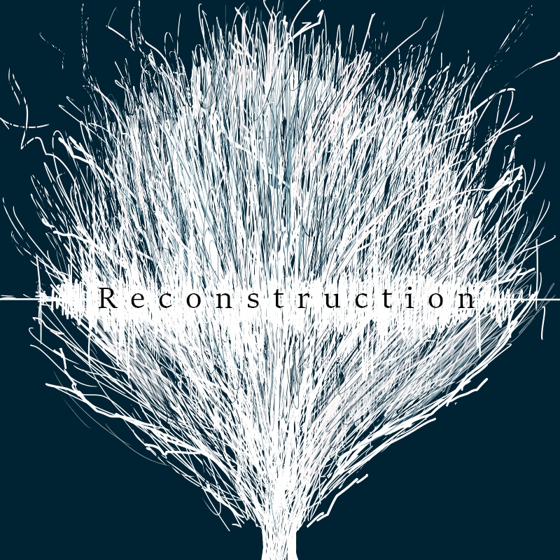 Reconstruction