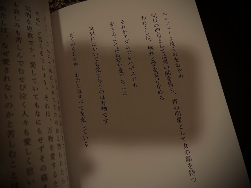 【ZINE】The girl without hands|手なし娘