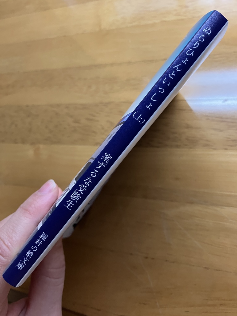 小説【ぬらりひょんといっしょ 上】