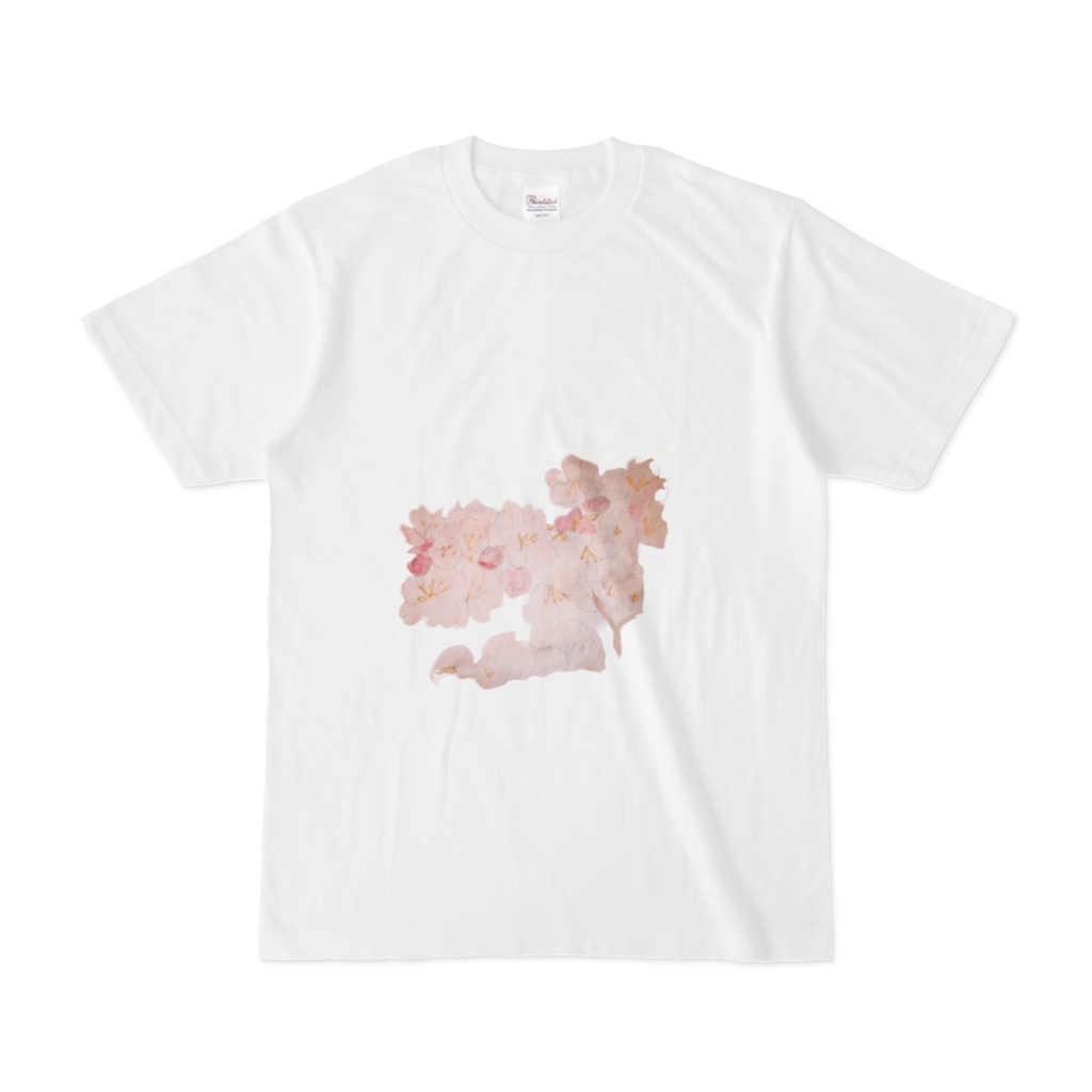 桜　Tシャツ