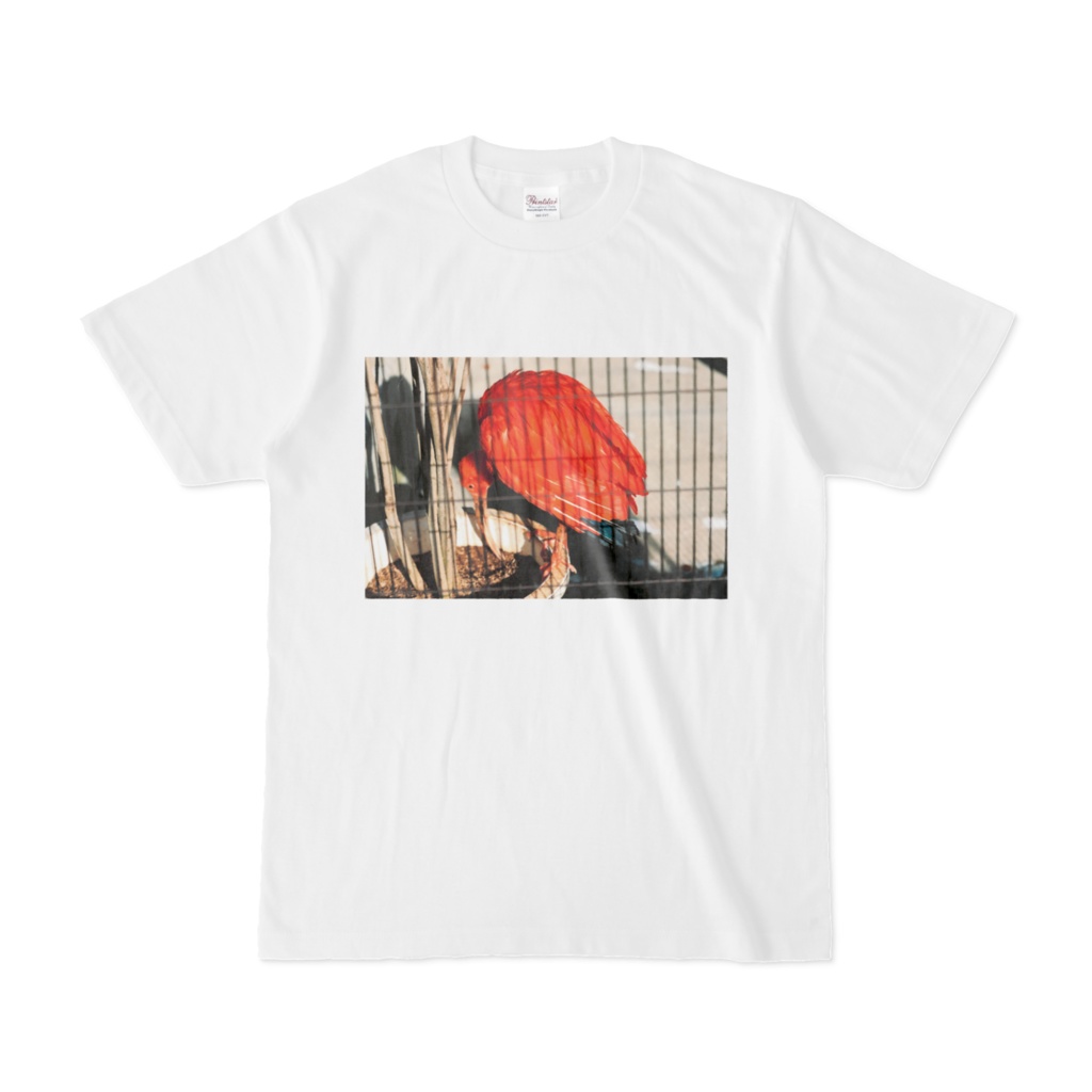 赤い鳥Tシャツ