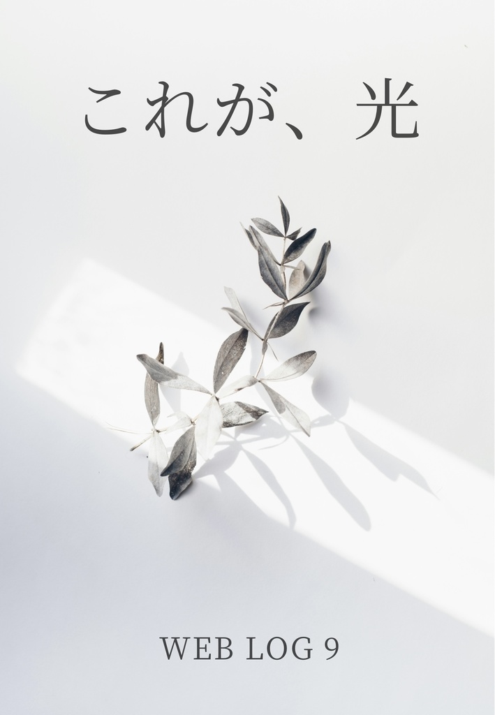 これが、光