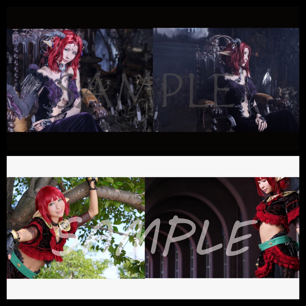 FFXI写真集 2冊セット