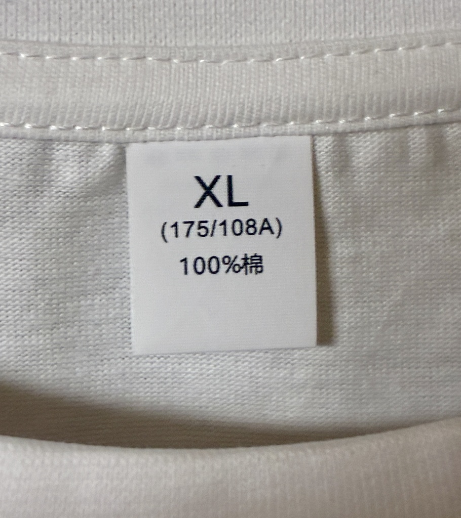 オリジナルT shirts テスト 2点匿名ネコポス込470JPY