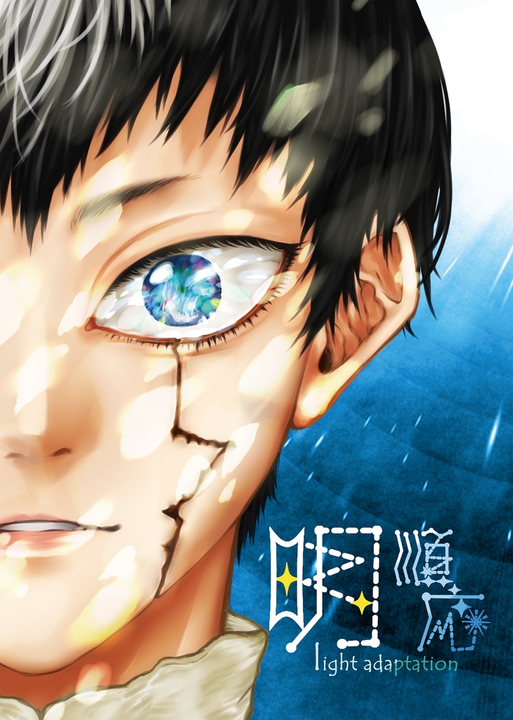 【匿名配送】明順応/価格改定版