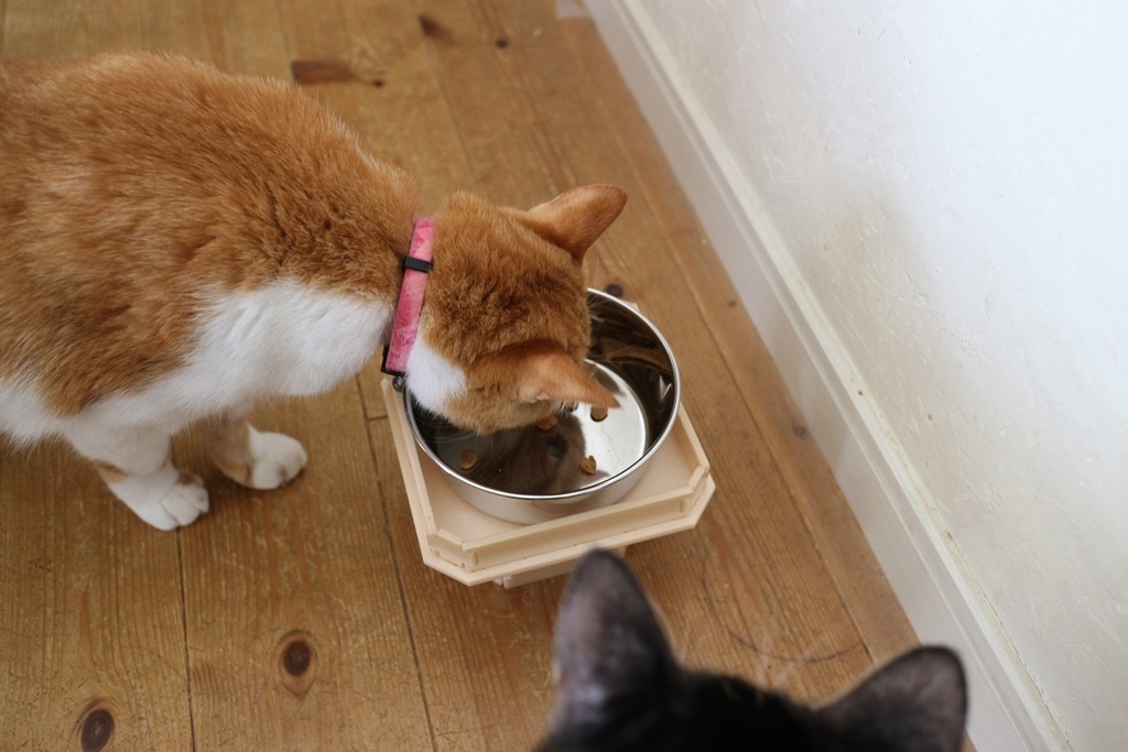 ねこ三方 レーザーカット用DXFデータ