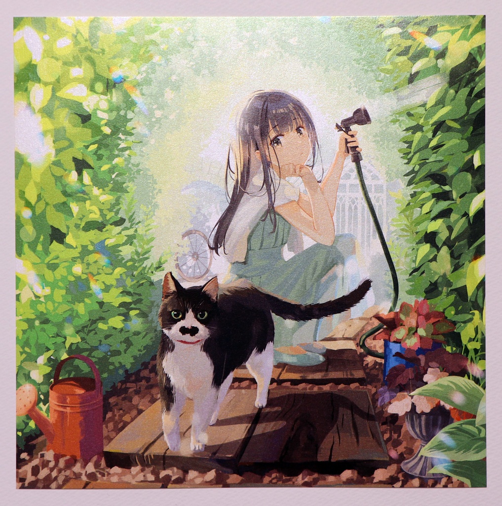 成瀬ちさと　21×21㎝　ポスターカード　J