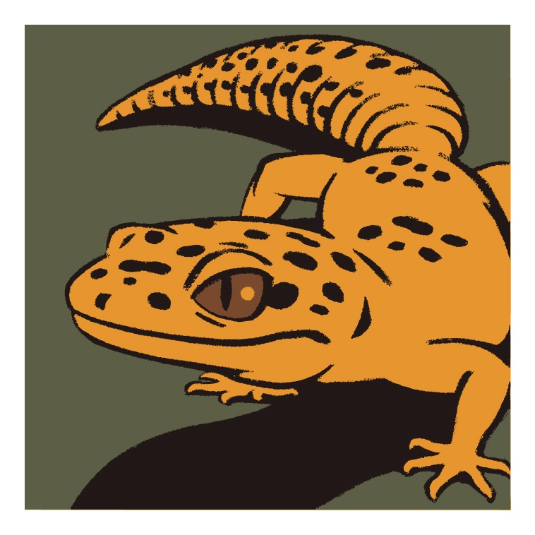 レオパステッカーS