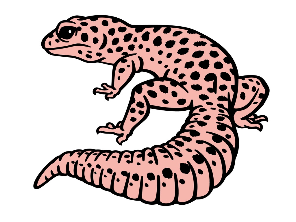 レオパステッカーM