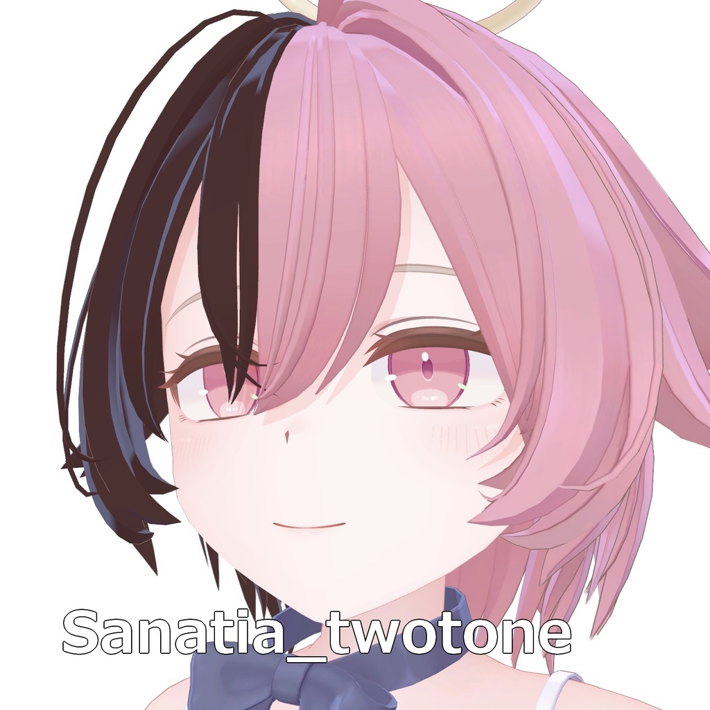 サナティア専用_ツートーンテクスチャ