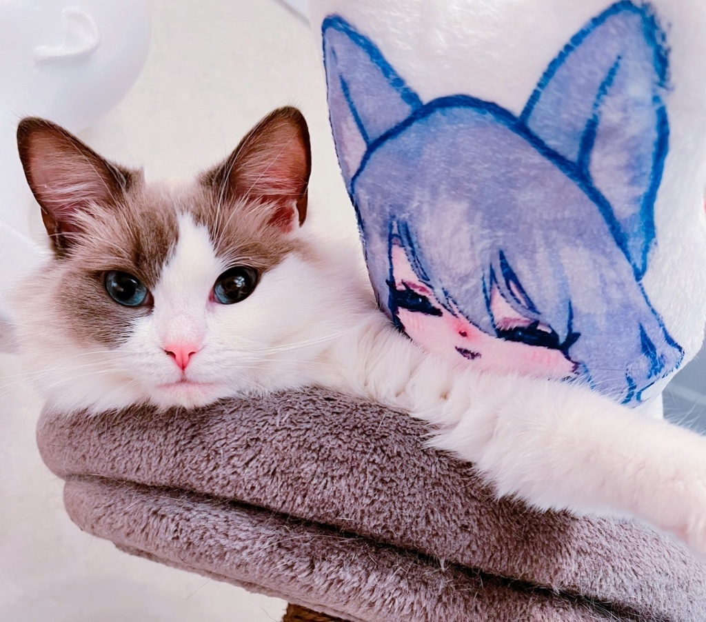 でかい!ゆめみるそんにゃ💜🌙