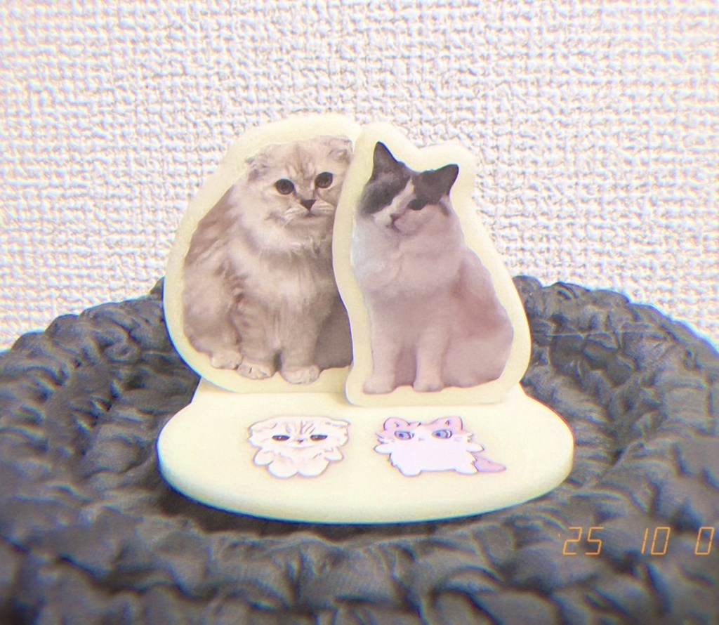 【在庫販売！10/8 19時～】ねこねこコラボアクスタ