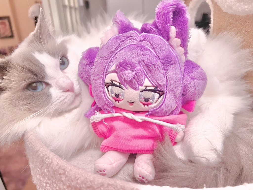 先着⋆販売開始：3/2 19:00~】そんにゃぬいぐるみ - 💜💎 #そにゃみせ