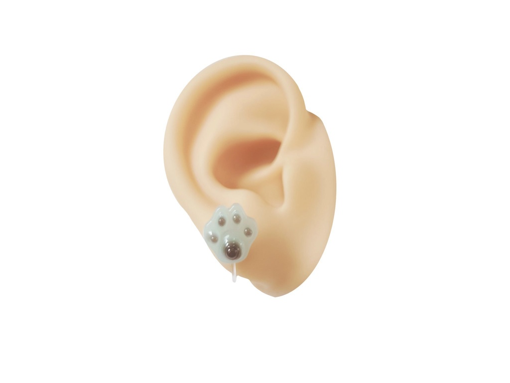 ピアス・ノンホールピアス