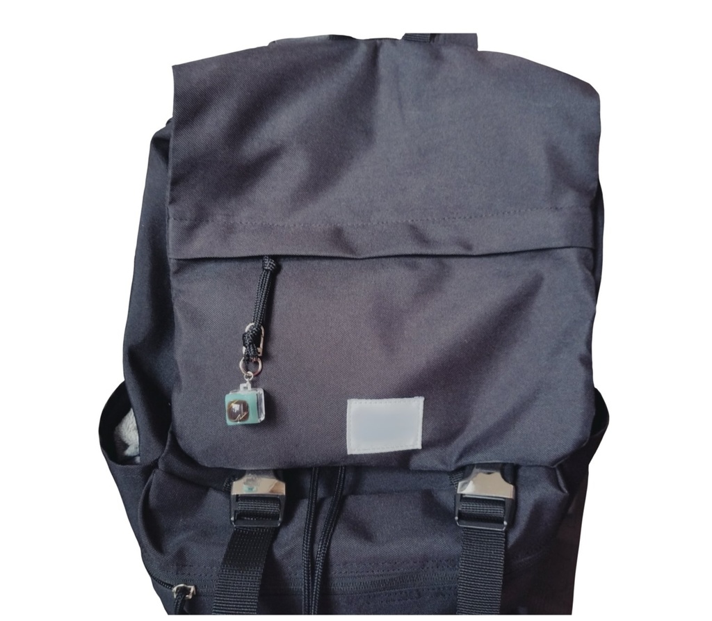 キースイッチキーホルダー