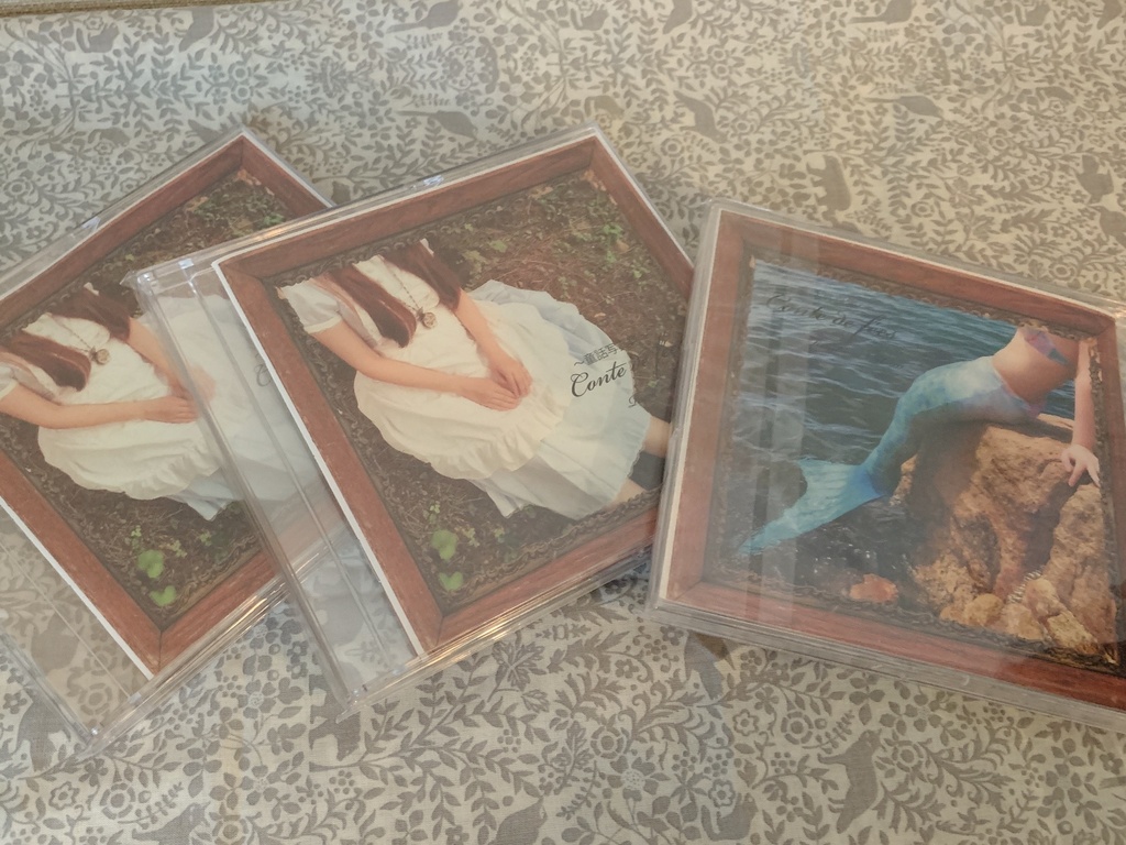 CDサイズ童話写真集　Conte de fées