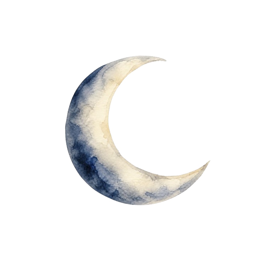 NO.2 夜の星屑