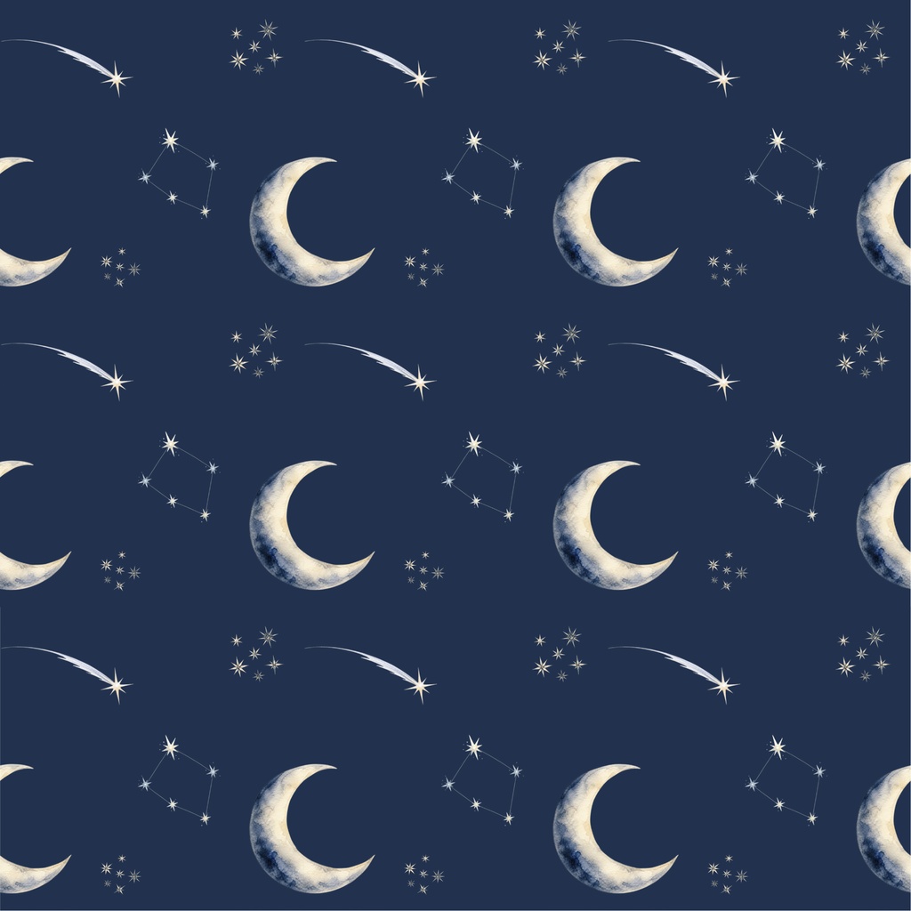 NO.2 夜の星屑