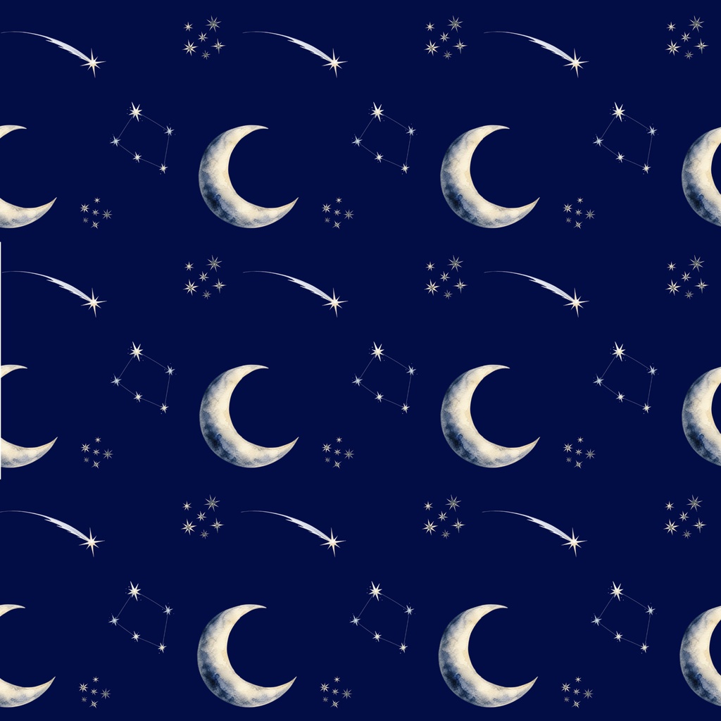 NO.2 夜の星屑