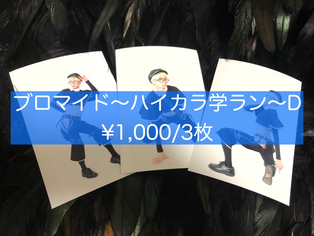 ブロマイド〜ハイカラ学ラン〜D