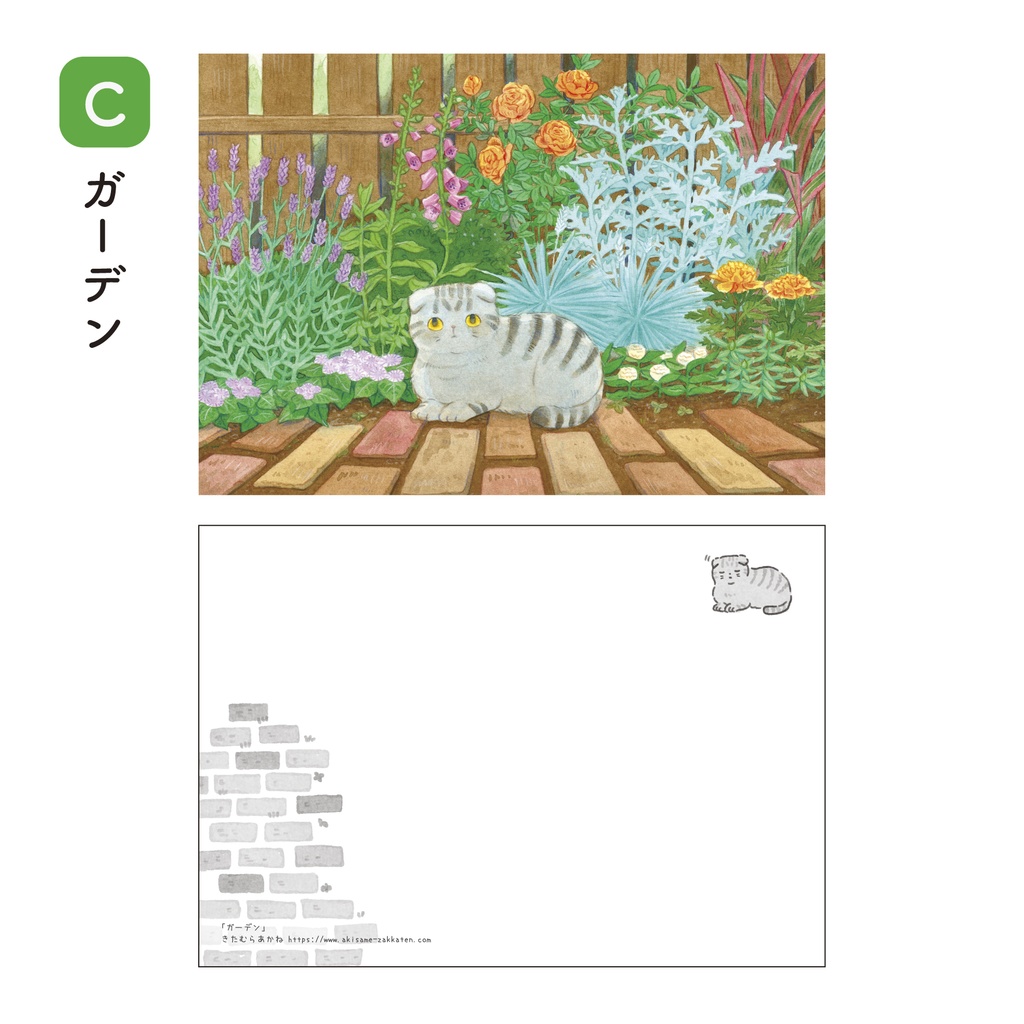 猫と植物のA5ポストカード