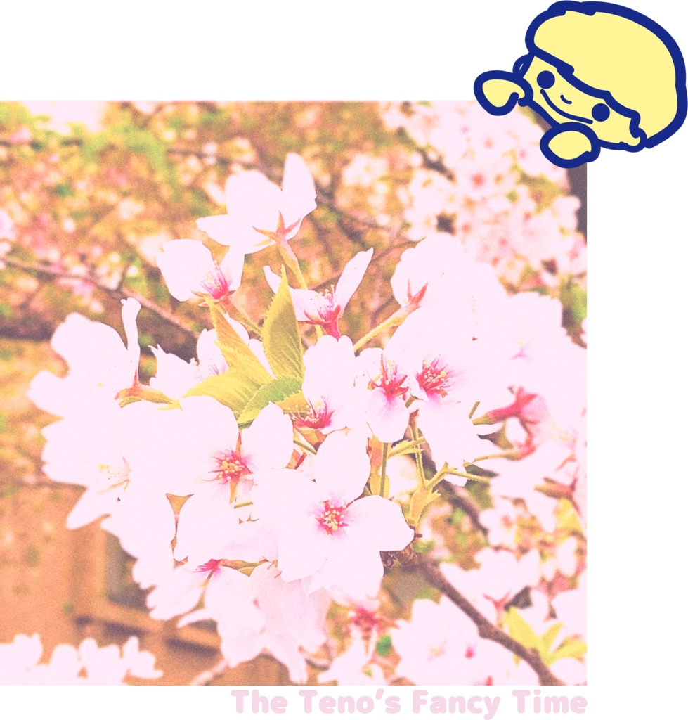 The sakura and a boy