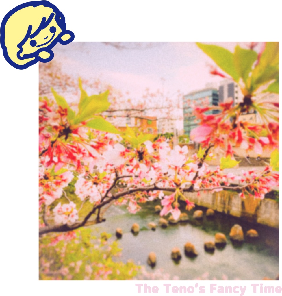 The sakura and a girl