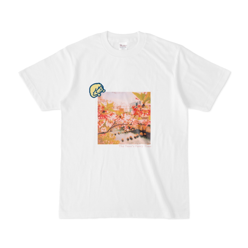 The sakura and a girl