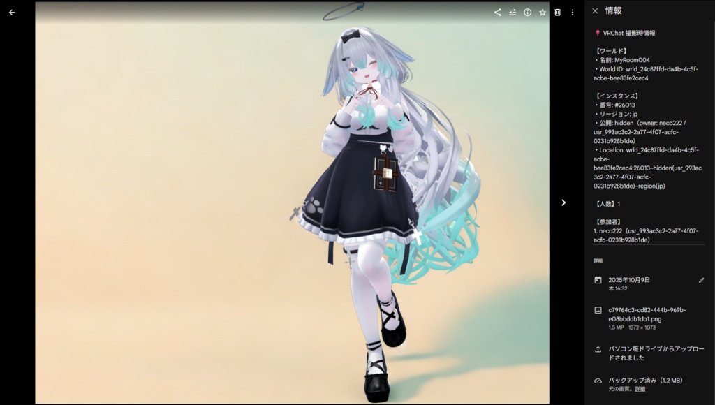 【VRCP】VRChat Photo MetaData