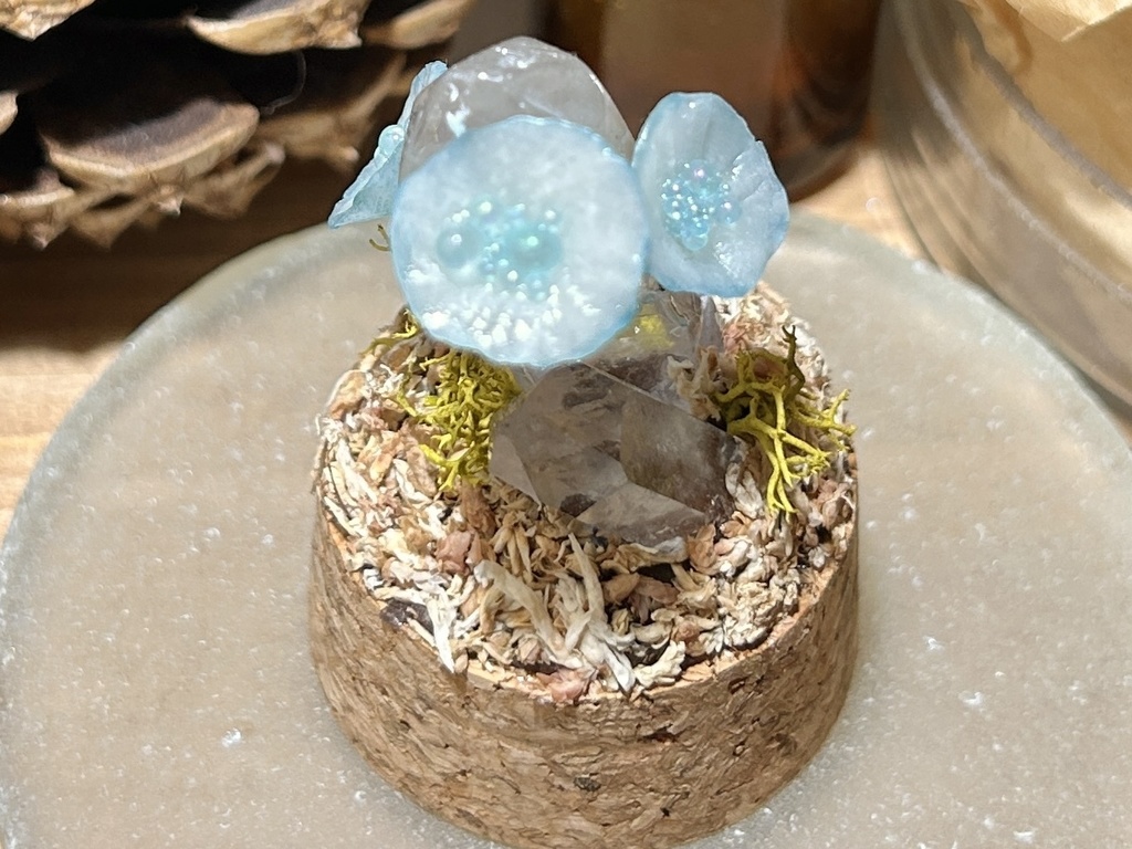 岩喰茸(イワハミタケ) 水晶種