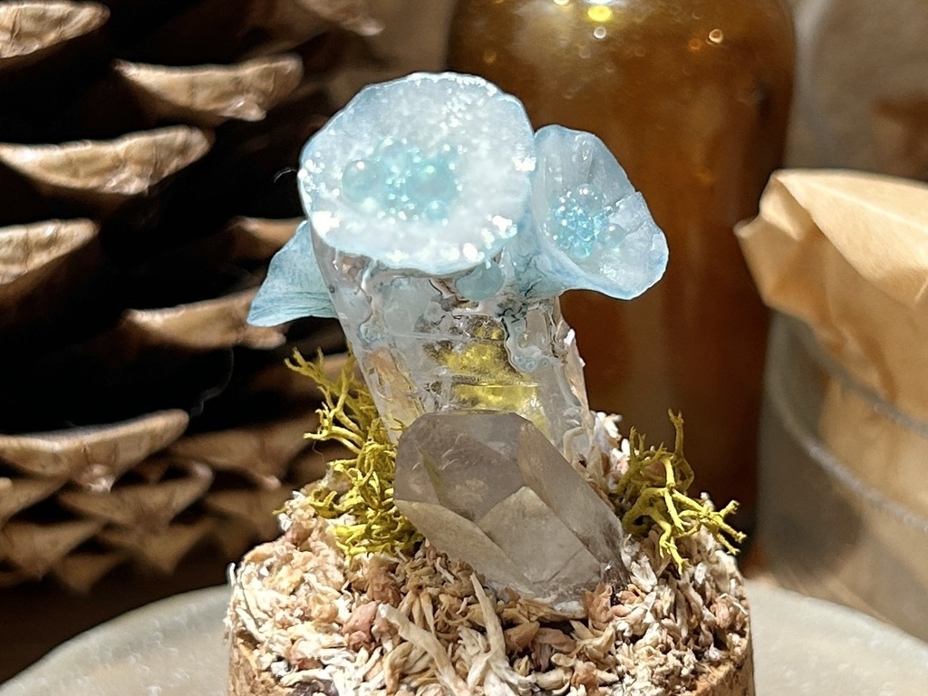 岩喰茸(イワハミタケ) 水晶種