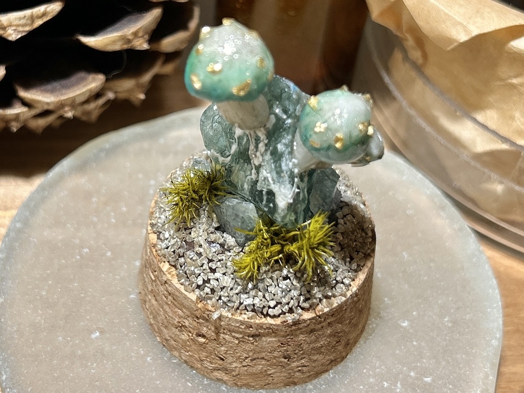 岩喰茸(イワハミタケ)蛍石種