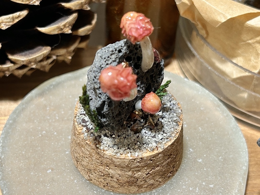 岩喰茸(イワハミタケ)浮石種
