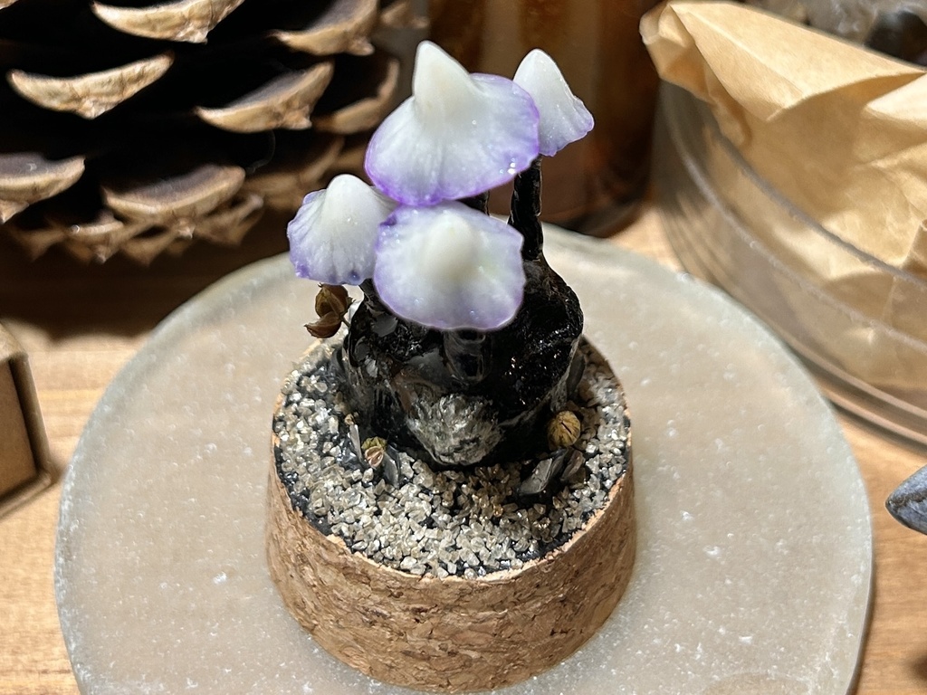 岩喰茸(イワハミタケ)鉄電気種