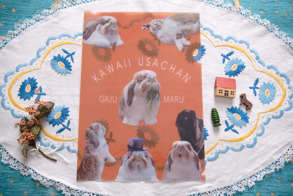 【ネコポス発送】KAWAII USACHANのクリアファイル