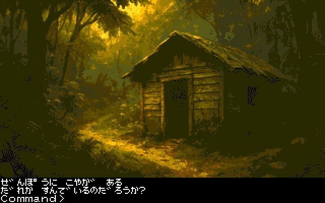 レトロアドベンチャーゲーム「漂着」 for FM77AV20/40 16色版 フロッピー2枚組