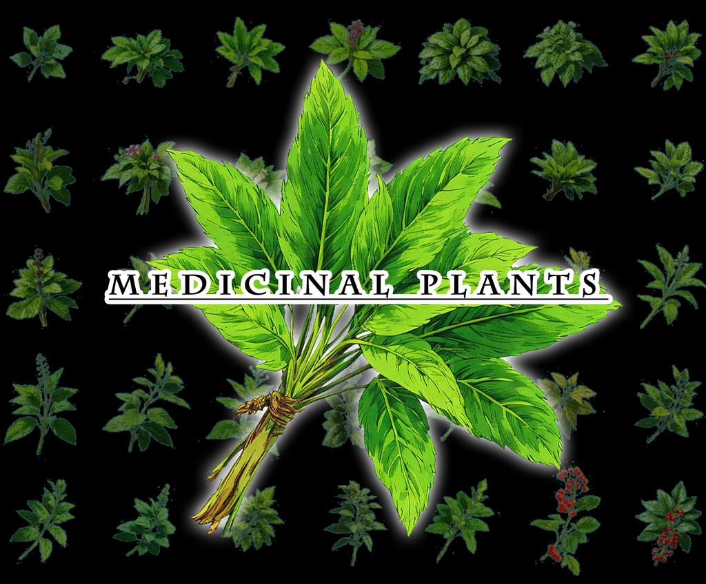 【デザイン資料集】道具・装身具 ver1 デザインコレクション