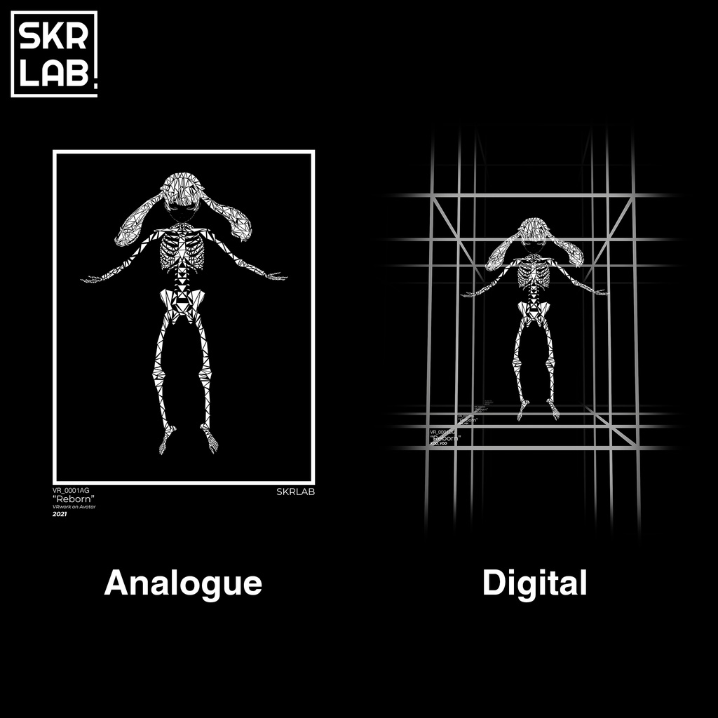 'REBORN' T-Shirt for Grus & Cygnet