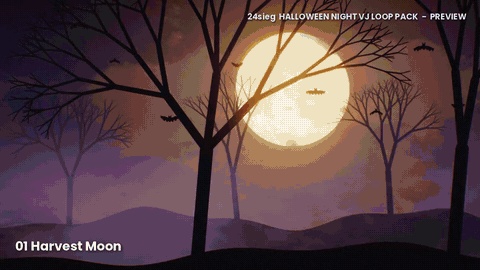 HALLOWEEN NIGHT|VJループ素材10本パック(HAP+MP4/1080p/120 BPM)